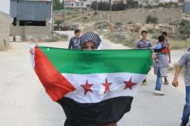 Una palestina sostiene una bandera que combina la siria revolucionaria con la palestina.